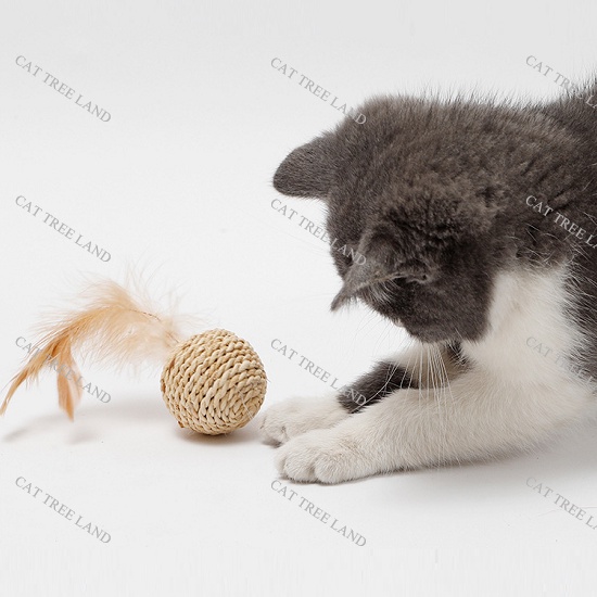 ĐỒ CHƠI CHÓ MÈO GẶM GIẢM NGỨA RĂNG, CÀO MÓNG - 2 BÓNG CÓI ĐAN THỪNG, BÓNG ĐAN MÂY