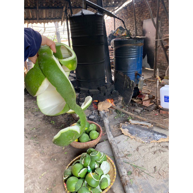 Tinh Dầu Bưởi Kích Thích Mọc Tóc Chai 100ml | BigBuy360 - bigbuy360.vn