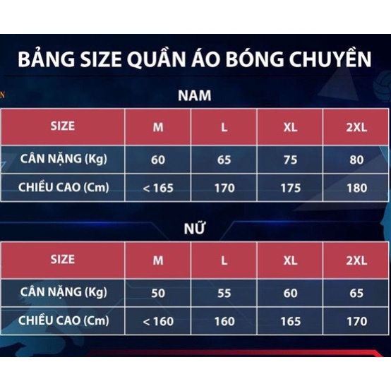 Bộ Quần Áo Bóng Chuyền Cộc Tay Flat Nam Nữ 3 Màu Bắt Mắt