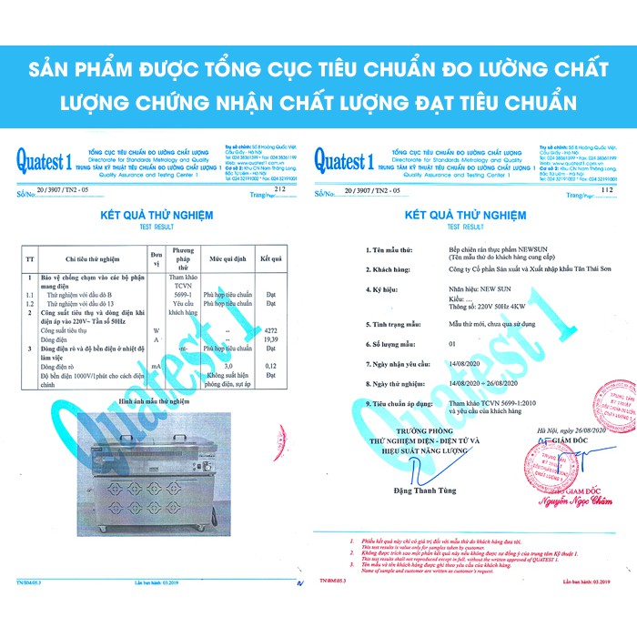 Bếp chiên, rán, nhúng khoai tây, gà rán, thực phẩm công nghiệp 25L NEWSUN - Hàng chính hãng