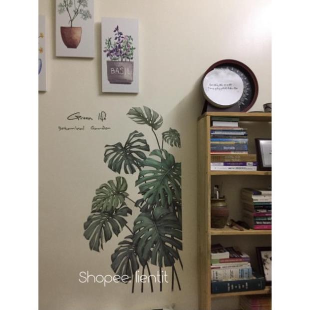 Decal dán tường khóm cọ B12 NNTB