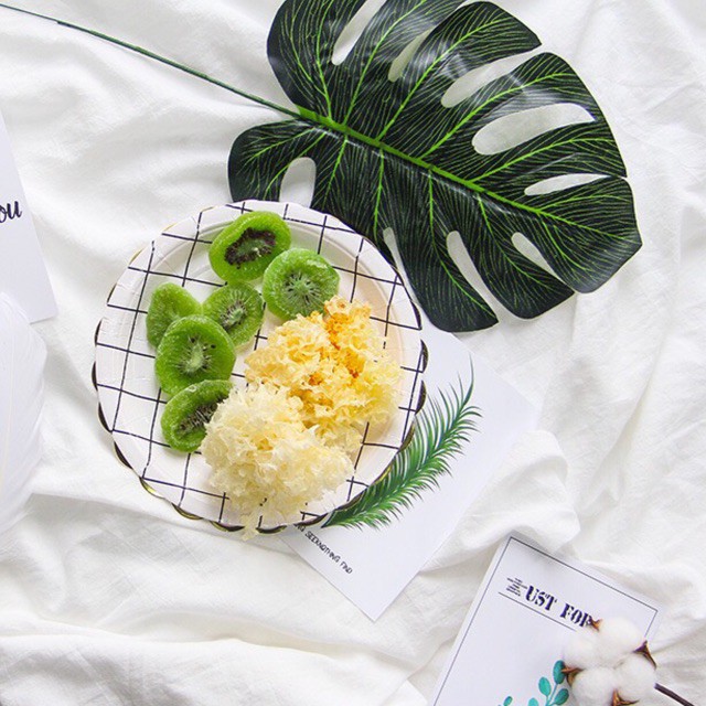 (Giảm 29%) Set chụp ảnh mỹ phẩm nhiều đĩa - Set số 05