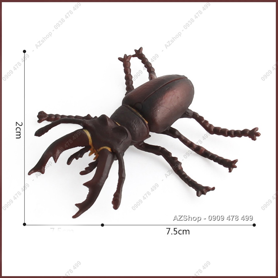 Mô Hình Côn Trùng Bọ Ngựa Bọ Hung Bọ Cạp Chuồn Chuồn Ong Bắp Cày - 7709.3