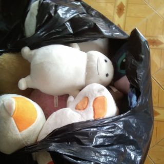 Gấu bông của ngọc huyền doan