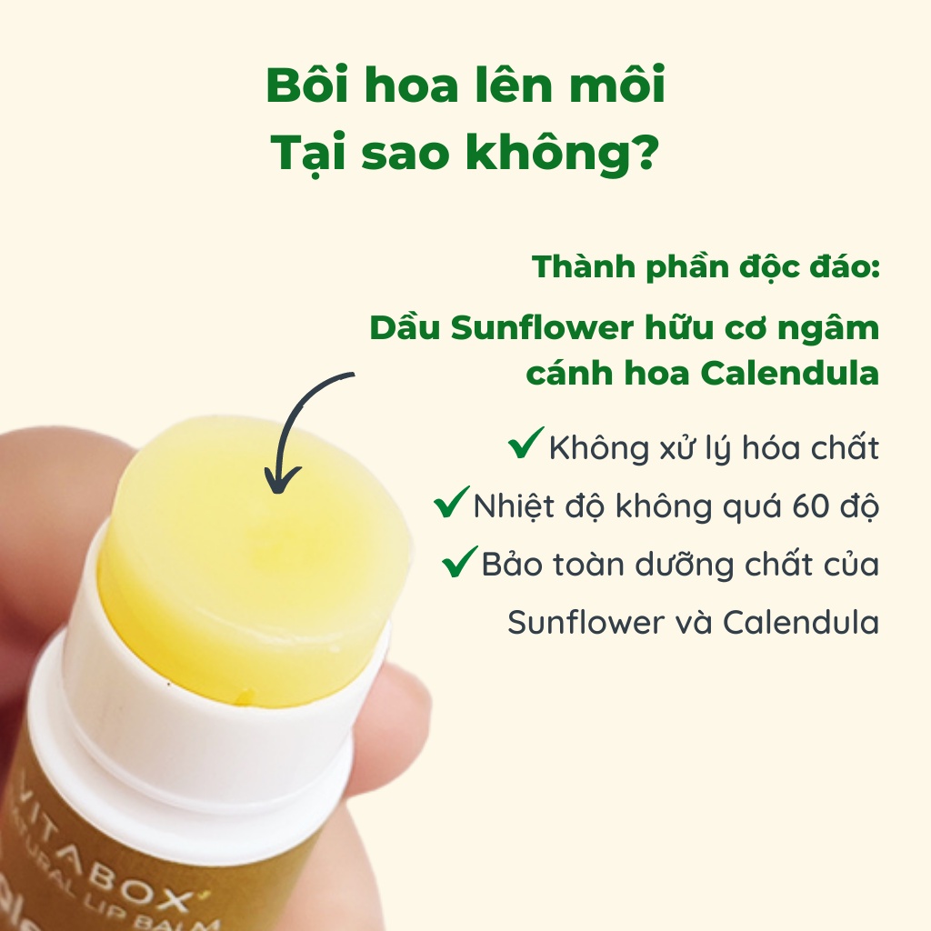 Son dưỡng không màu Healing VITABOX - 100% tự nhiên, dưỡng ẩm lâu, làm dịu môi, không thâm môi