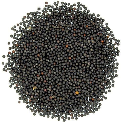 Black Mustard Seed - Mù tạt đen SPICESUPPLY Việt Nam gói Hũ 100g