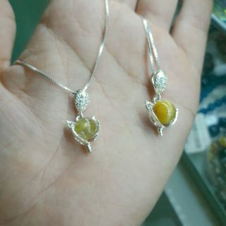 Combo khách đặt