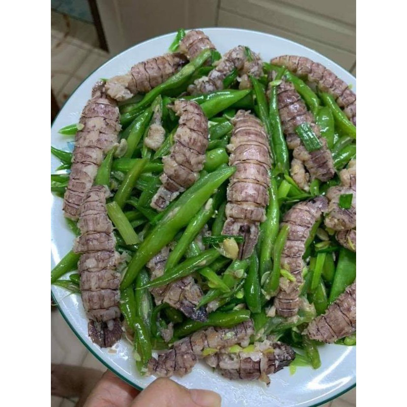 Nõn tôm tít thịt