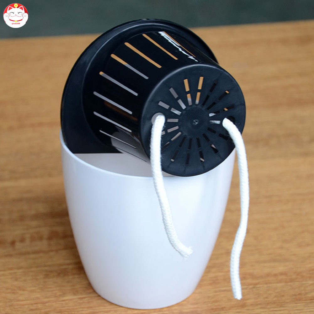 Chậu hoa tự tưới nước treo tường bằng nhựa