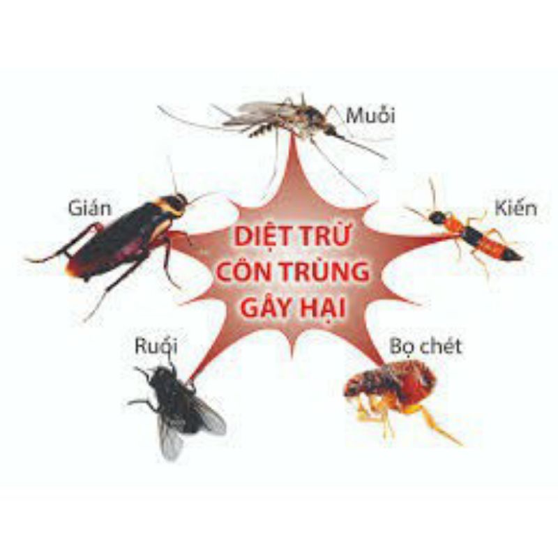 sỉ sll diệt kiến 10ml huyền chi ngọc