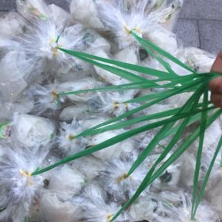 Combo 90 bịch bánh tráng tắc Tây Ninh