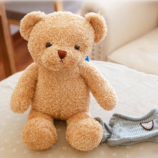 Gấu teddy Nhồi Bông Mặc Áo Sweater Dễ Thương