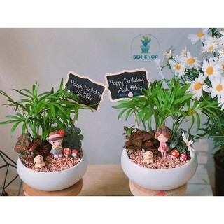 Cau tiểu trâm, may mắn, tài lộc .
