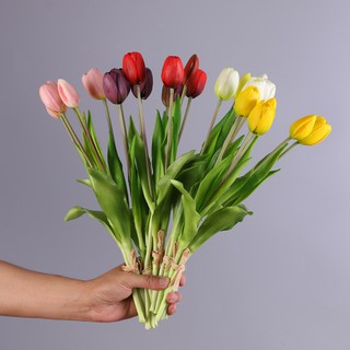 BÓ 5 CÀNH HOA TULIP CAO CẤP