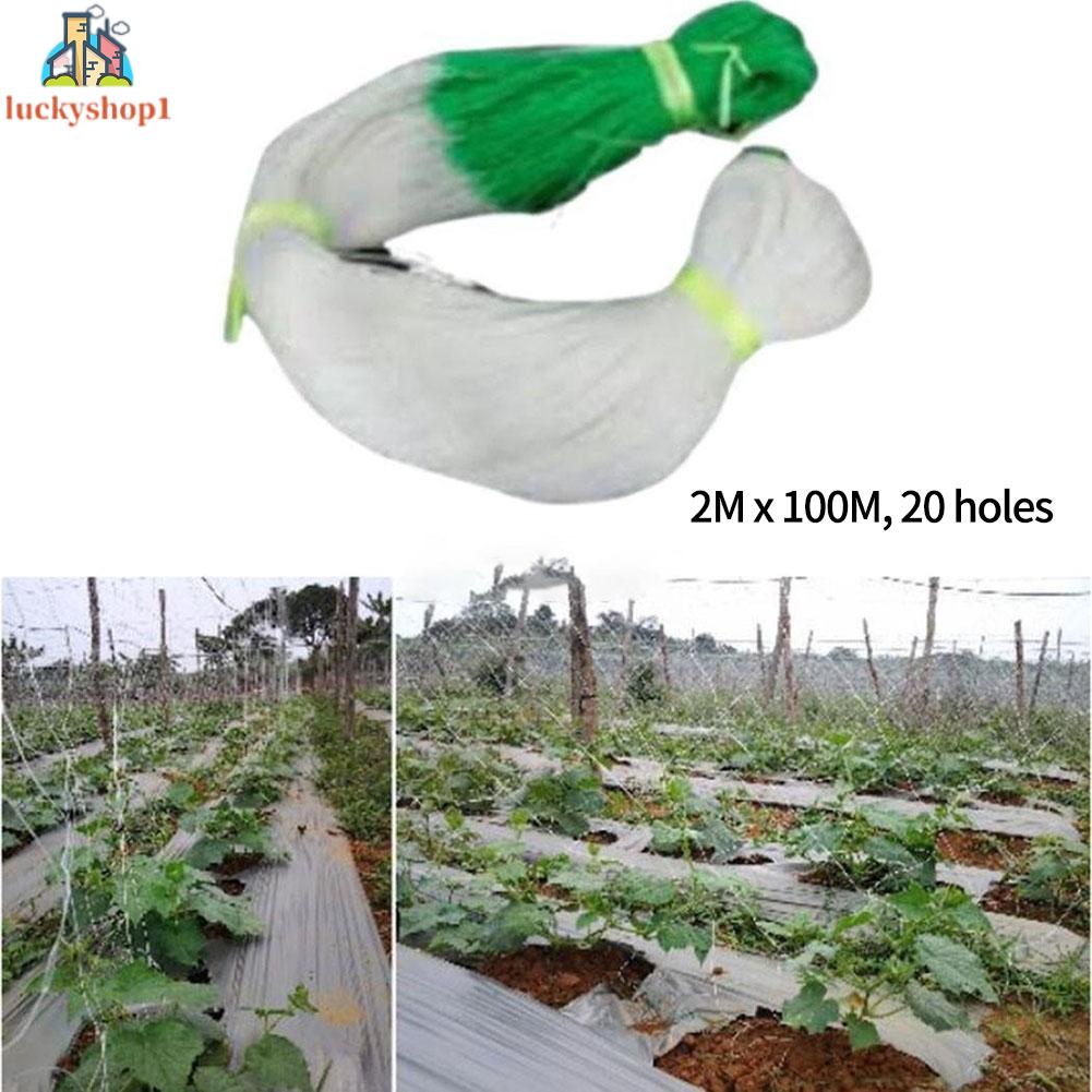 Lưới Trồng Cây Dây Leo Chống Ăn Mòn Chống Lão Hóa Siêu Bền Dễ Lắp Đặt