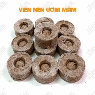 10 viên nén ươm mầm kích thích hạt nảy mầm nhanh.