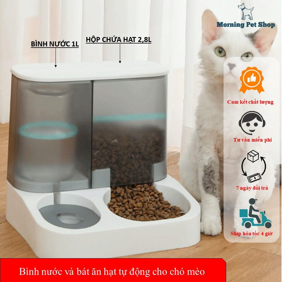 Bình nước và bát ăn hạt tự động cho chó mèo -Bình uống nước tự động và bát ăn tự động cao cấp cho thú cưng