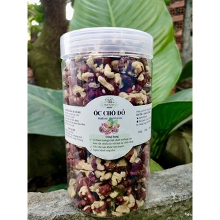 Óc chó đỏ (nhân)