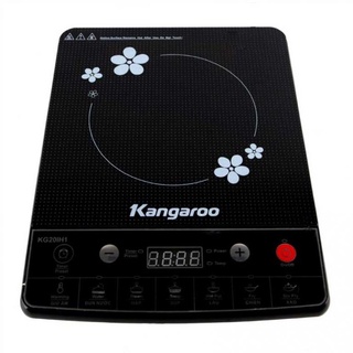 Bếp điện từ đơn kg20ih1