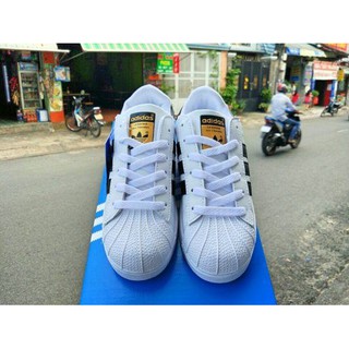 Giày thể thao Adidas superstan sò tem vàng