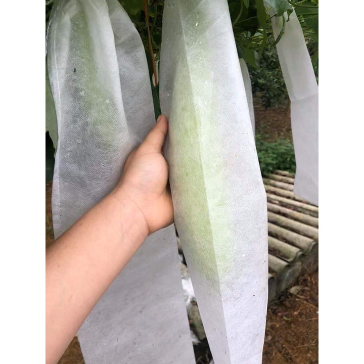 01 cái Túi bọc Khổ qua, Ổi,Xoài , Vú sữa, Na, Bầu, Bí, Mướp, Mít Thái bằng vải không dệt