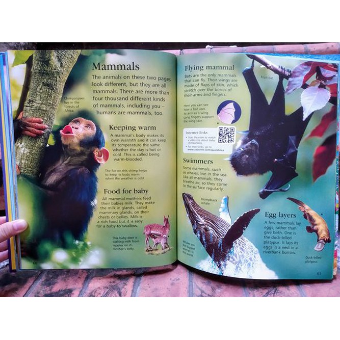 Sách - Anh: The Usborne Children's Encyclopedia (new edition)