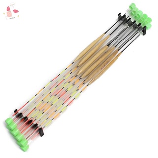Bộ 10 phao câu cá chất lượng cao chuyên dụng