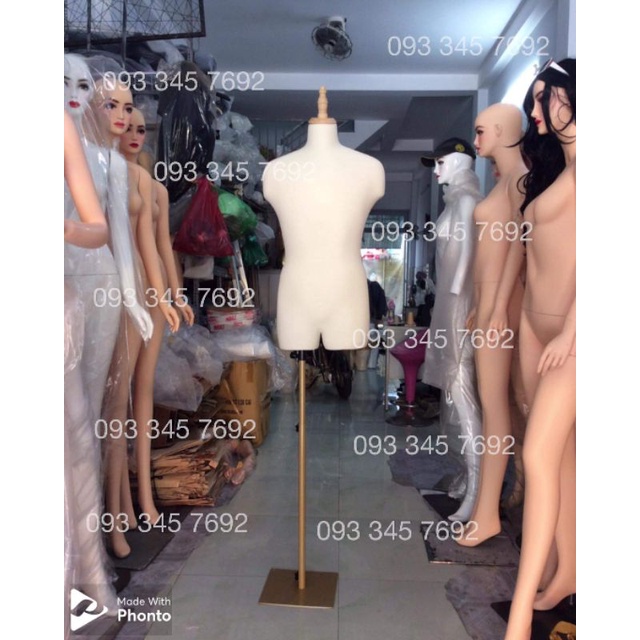Manocanh Nam chân sắt vàng đồng