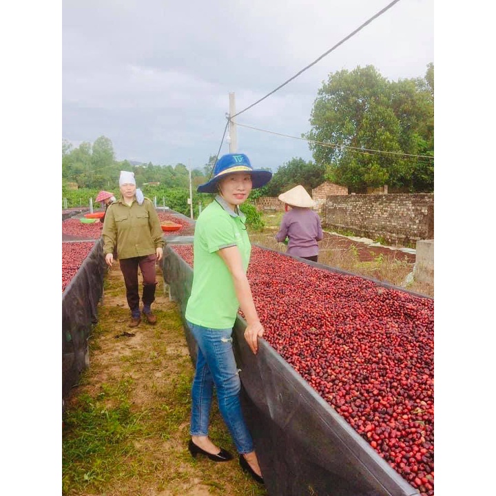 Cà phê nguyên chất Roubusta  Xuân Dương - Vị truyền thống đắng hậu vị thơm ngậy  chín đỏ cafe trồng tiêu chuẩn VietGAP
