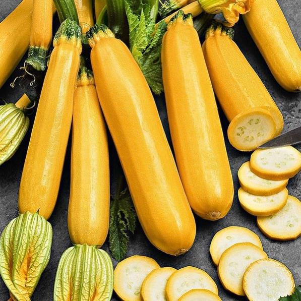 Hạt giống bí ngồi vàng gói 2gr