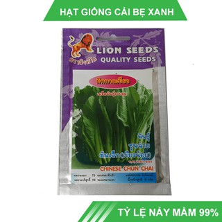 Hạt giống cải bẹ xanh Thái Lan dễ trồng, ít sâu bệnh, thu hoạch sau 35 ngày