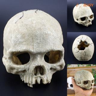 IE❤Skull Fish Tank Aquarium Hiding Decor Terrarium Reptile Ornament Tool Landscape