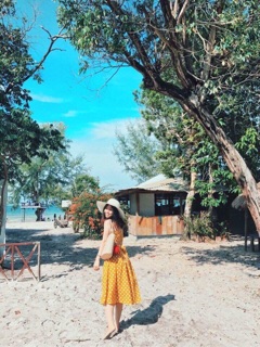 Set tiểu thư - sét váy xoè - set đi biển