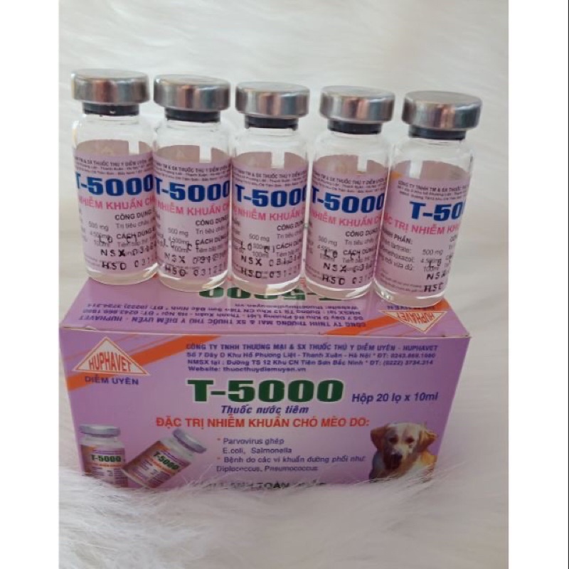 T.5000 10ml - tiêu chảy , viêm phổi cho chó , mèo