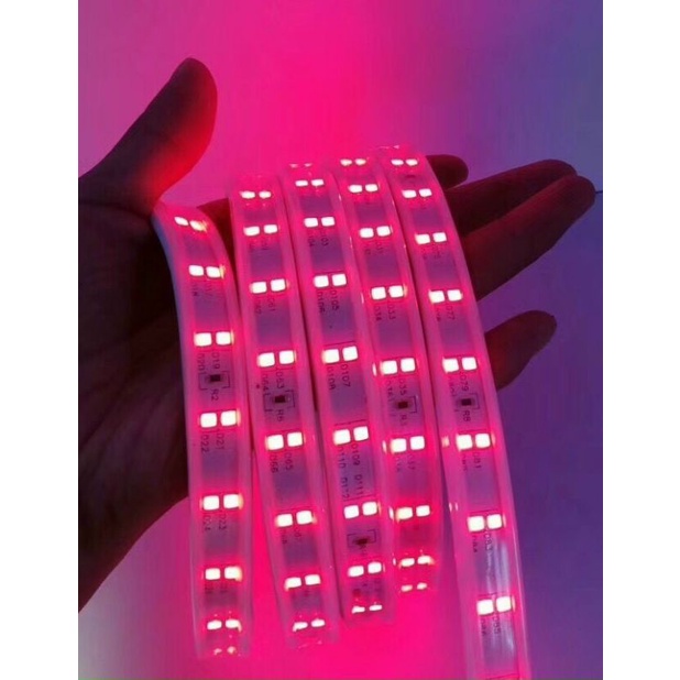 Cắt lẻ - dây led 2 hàng bóng điện 220V chuyên dùng quấn cây, hắt trần, chuyên trang trí ngoài trời