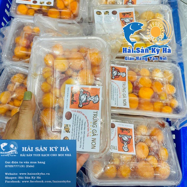 Giá sỉ - Trứng Gà Non - Q12