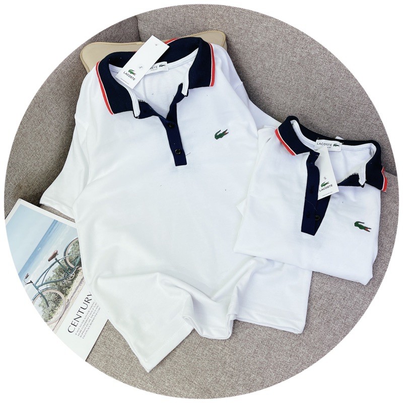 BÁN SỈ ÁO POLO CÁ SẤU CỔ BẺ THAN VIỀN ĐỎ CHO NỮ | BigBuy360 - bigbuy360.vn