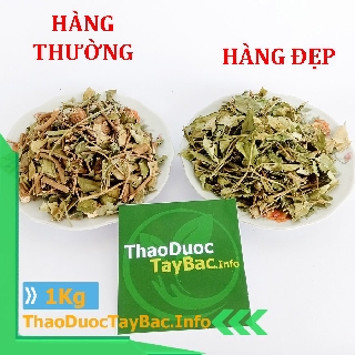[1Kg] Dây Thìa Canh - Trị bệnh tiểu đường .Hàng đẹp