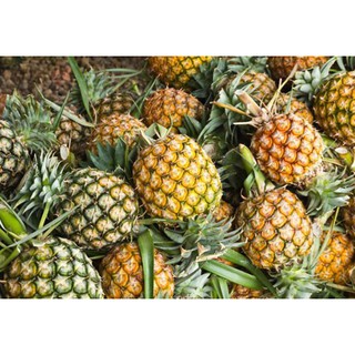 Thơm sấy lạnh 100g