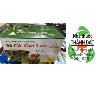 Trà cà gai leo túi lọc lava