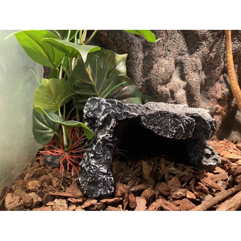 Hang trú Lion cho bò sát - Hang trú giả đá cho rùa, bò sát, trăn rắn cảnh nhiều kích cỡ