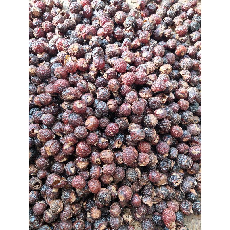 Quả bồ hòn, bồ hòn