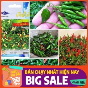 [ Hạt Giống Xanh ] Hạt giống ớt xiêm núi Thái Lan