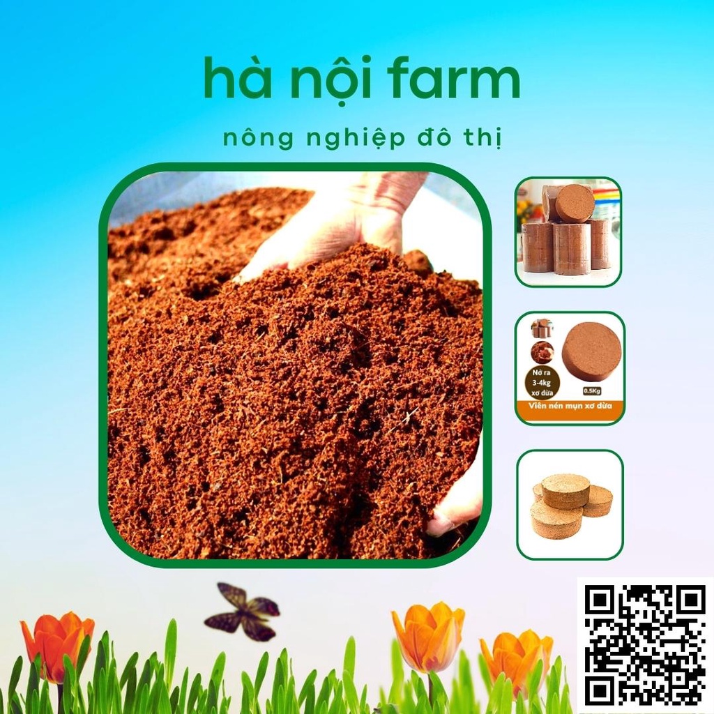 Viên nén xơ dừa, Đất nén xơ dừa tơi xốp trồng rau mầm - 500g