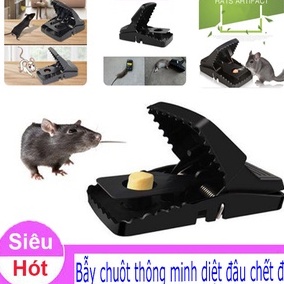 Bẫy Chuột Thông Minh - Giá Rẻ Hiệu Quả Cao