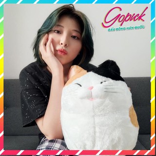 Gấu bông thú nhồi bông mèo amuse hàng cao cấp mềm mịn | Go Pick