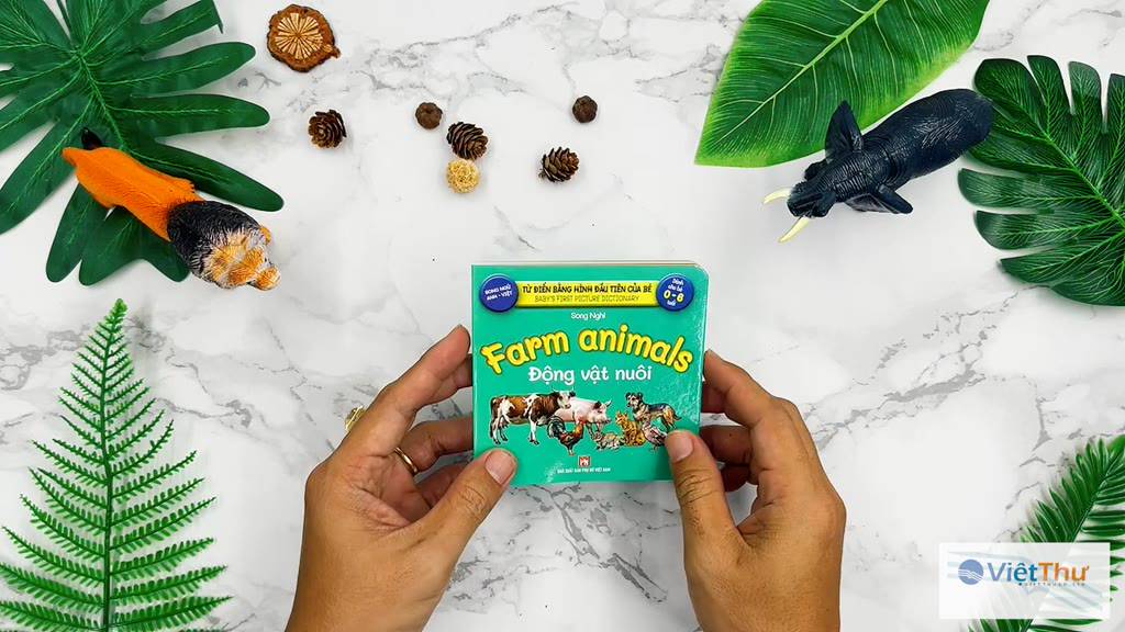 Sách - Baby'S First Picture Dictionary - Từ Điển Bằng Hình Đầu Tiên Của Bé - Động vật Nuôi - Farm AniMals (Bìa Cứng) | BigBuy360 - bigbuy360.vn