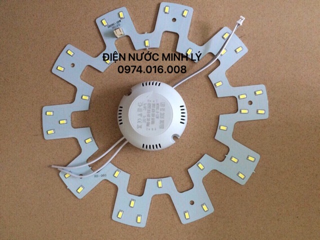 Led vòng 12W,18 W