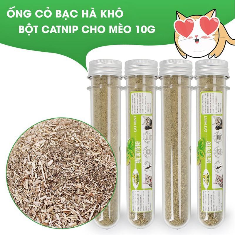 Catnip cho mèo (ống 40ml)