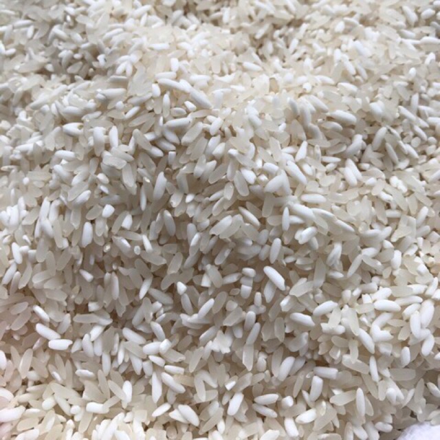 Gạp nếp nương Điện Biên